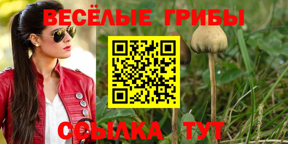 Галлюциногенные грибы Cubensis  Псилоцибиновые грибы Psilocybine cubensis  Вход с VPN  Югорск 