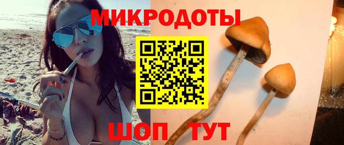 Галлюциногенные грибы MAGIC MUSHROOMS Югорск