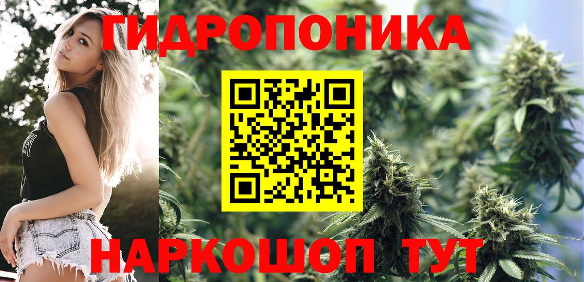 Марихуана White Widow  Бошки марихуана конопля  Югорск  Каннабис планчик  Вход с VPN 